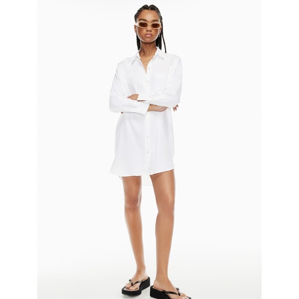 Aritzia Wilfred Free Boyfriend Linen Dress (BLUE)